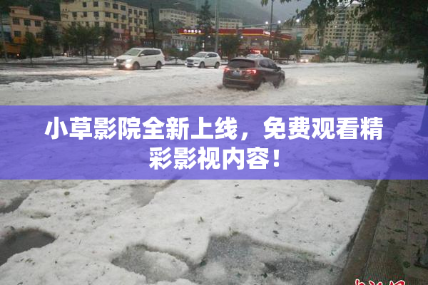 小草影院全新上线，免费观看精彩影视内容！