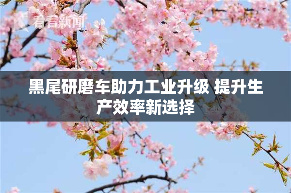 黑尾研磨车助力工业升级 提升生产效率新选择