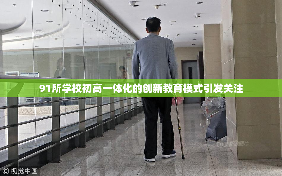 91所学校初高一体化的创新教育模式引发关注