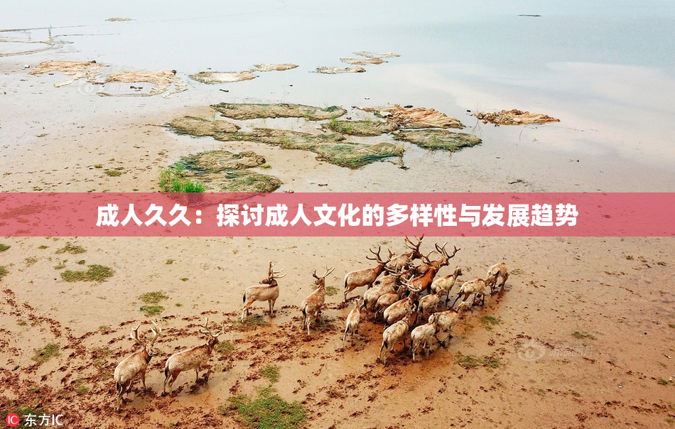 成人久久：探讨成人文化的多样性与发展趋势