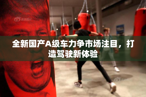 全新国产A级车力争市场注目，打造驾驶新体验