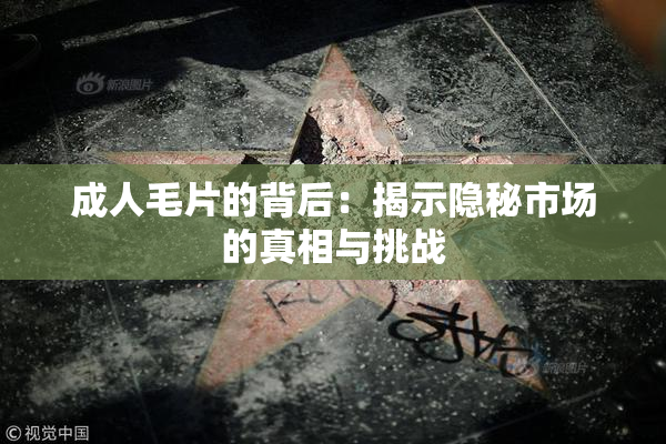 成人毛片的背后：揭示隐秘市场的真相与挑战