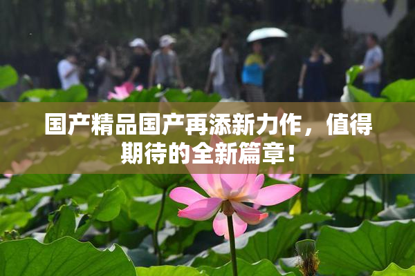 国产精品国产再添新力作，值得期待的全新篇章！