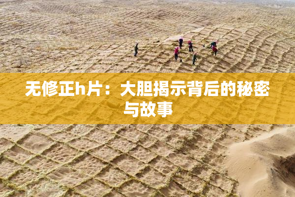 无修正h片：大胆揭示背后的秘密与故事