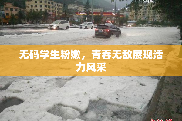 无码学生粉嫩，青春无敌展现活力风采