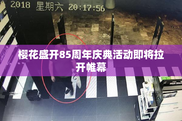 樱花盛开85周年庆典活动即将拉开帷幕
