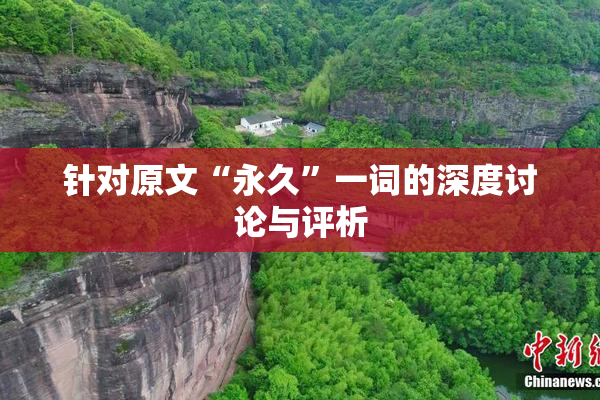针对原文“永久”一词的深度讨论与评析