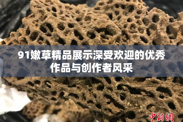 91嫩草精品展示深受欢迎的优秀作品与创作者风采