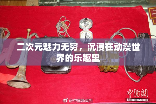 二次元魅力无穷，沉浸在动漫世界的乐趣里