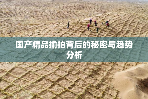 国产精品揄拍背后的秘密与趋势分析