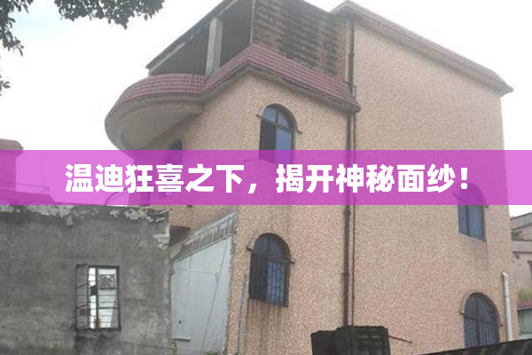 温迪狂喜之下，揭开神秘面纱！
