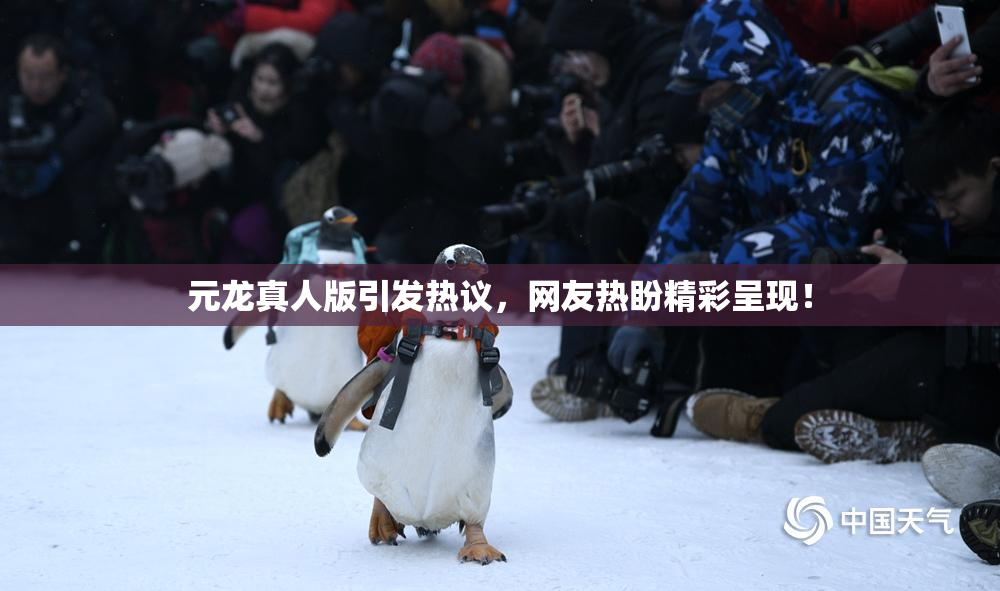 元龙真人版引发热议，网友热盼精彩呈现！