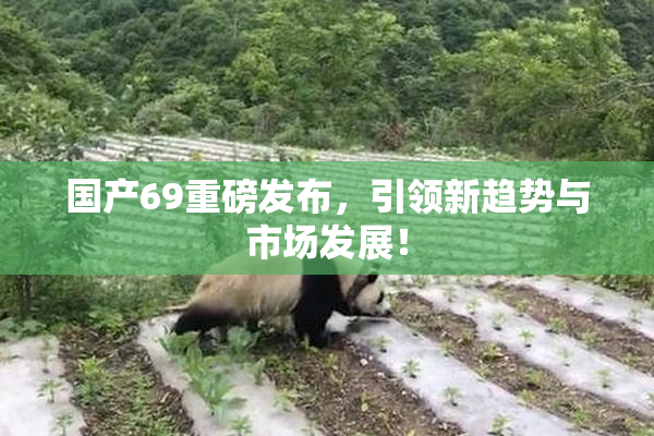 国产69重磅发布，引领新趋势与市场发展！