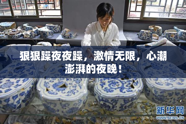 狠狠躁夜夜躁，激情无限，心潮澎湃的夜晚！