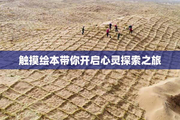触摸绘本带你开启心灵探索之旅
