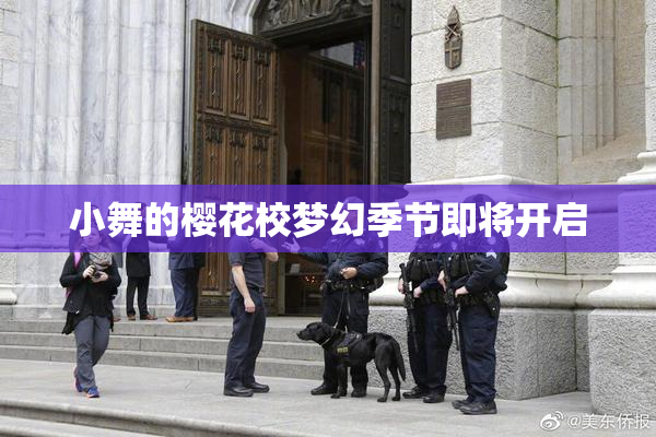 小舞的樱花校梦幻季节即将开启