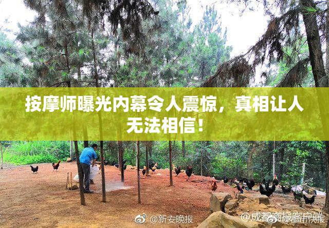 按摩师曝光内幕令人震惊，真相让人无法相信！