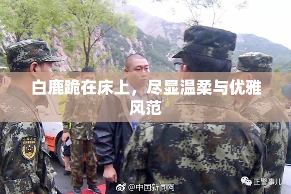 白鹿跪在床上，尽显温柔与优雅风范