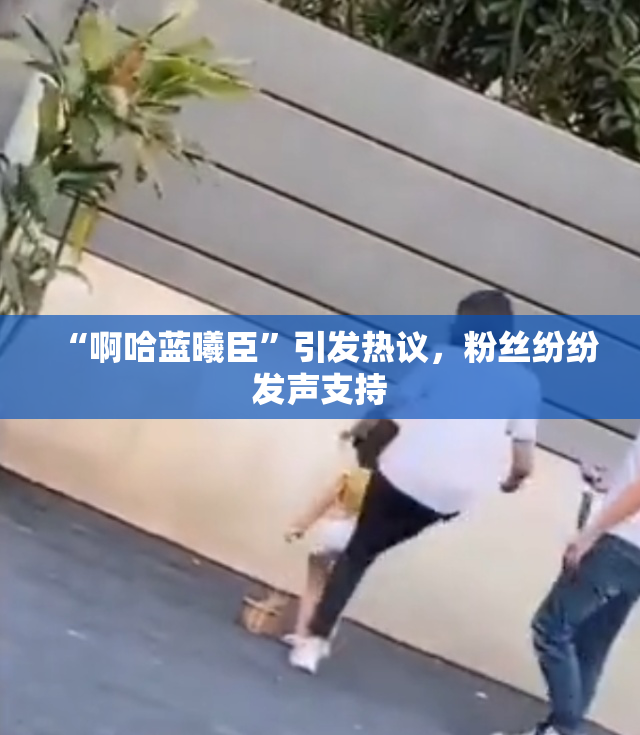“啊哈蓝曦臣”引发热议，粉丝纷纷发声支持
