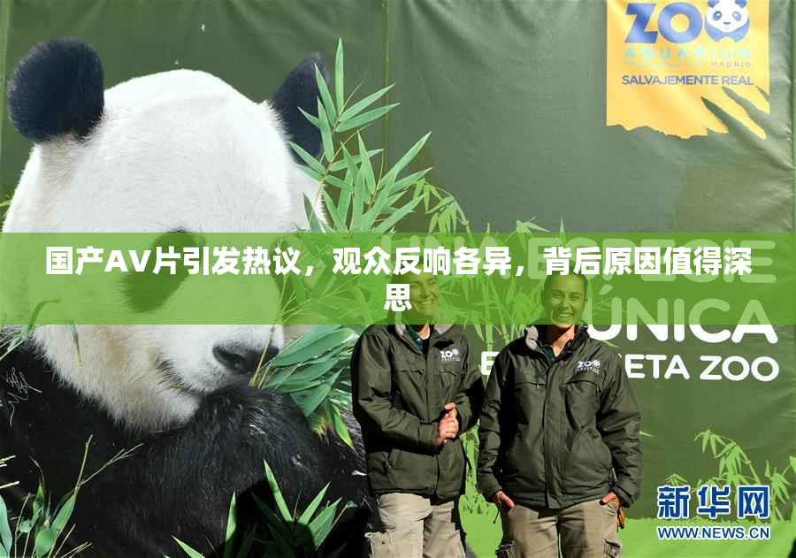 国产AV片引发热议，观众反响各异，背后原因值得深思