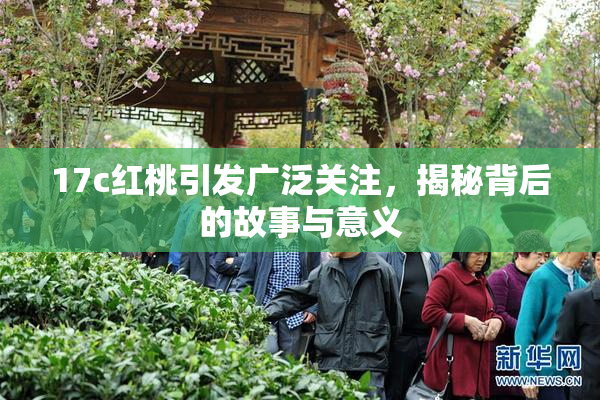17c红桃引发广泛关注，揭秘背后的故事与意义
