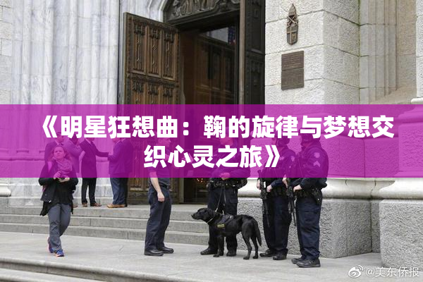 《明星狂想曲：鞠的旋律与梦想交织心灵之旅》