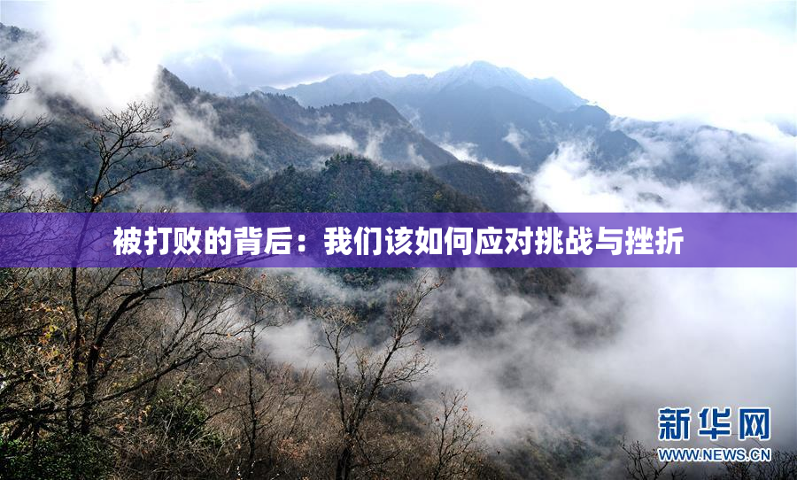 被打败的背后：我们该如何应对挑战与挫折