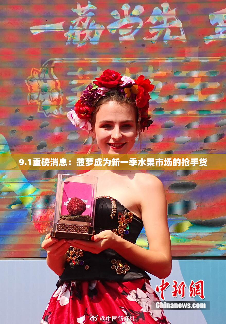 9.1重磅消息：菠萝成为新一季水果市场的抢手货