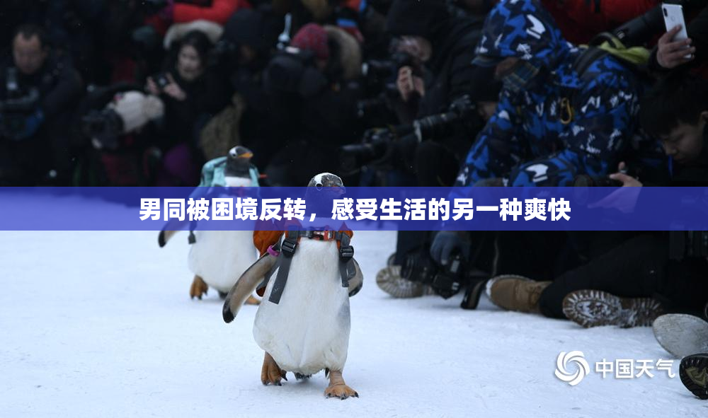 男同被困境反转，感受生活的另一种爽快