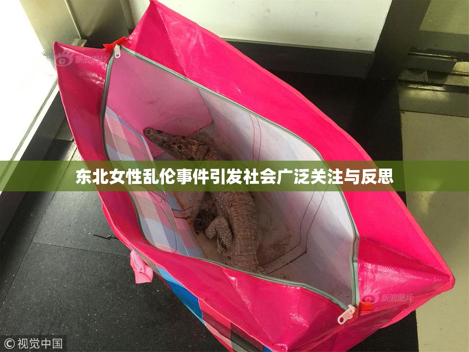 东北女性乱伦事件引发社会广泛关注与反思