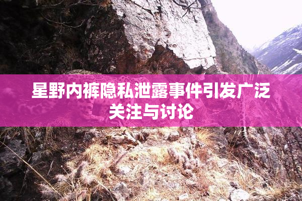 星野内裤隐私泄露事件引发广泛关注与讨论