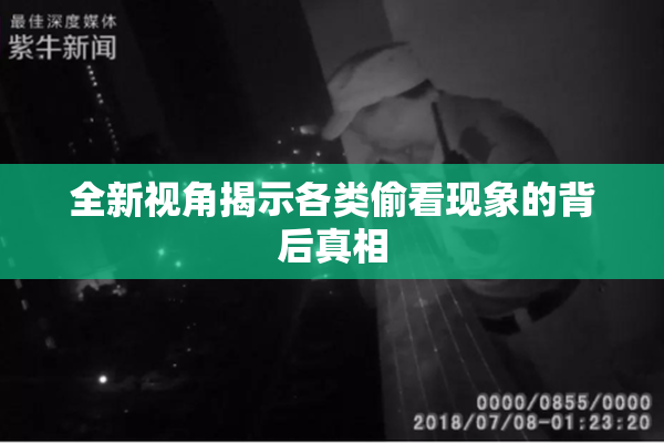 全新视角揭示各类偷看现象的背后真相