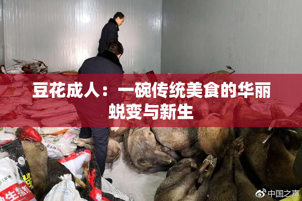 豆花成人：一碗传统美食的华丽蜕变与新生