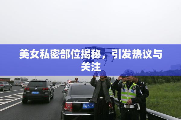 美女私密部位揭秘，引发热议与关注