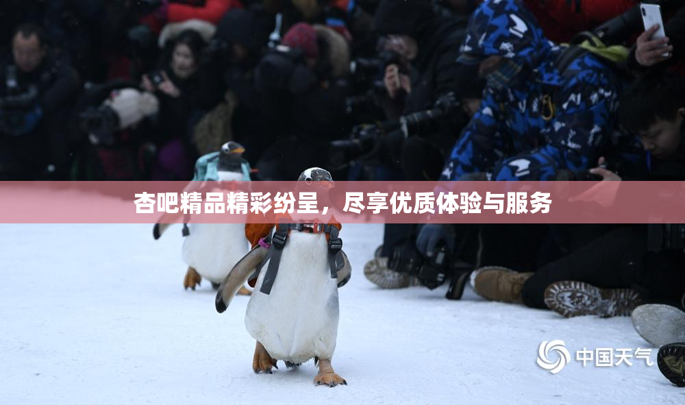 杏吧精品精彩纷呈，尽享优质体验与服务