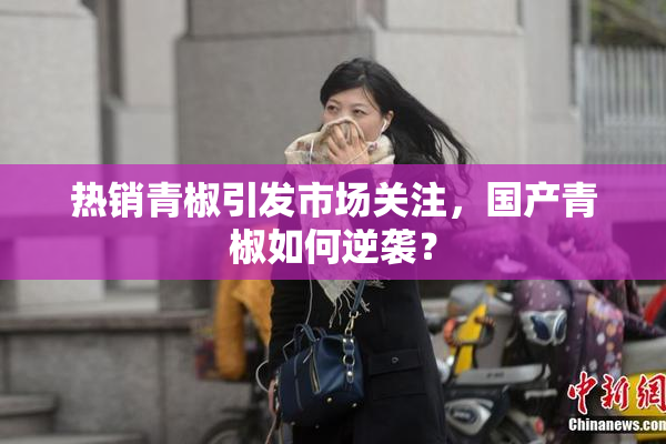 热销青椒引发市场关注，国产青椒如何逆袭？