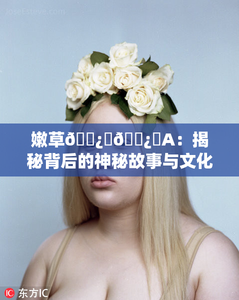 嫩草🌿‌🌿‌A：揭秘背后的神秘故事与文化内涵