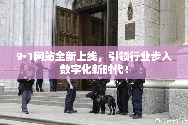 9·1网站全新上线，引领行业步入数字化新时代！