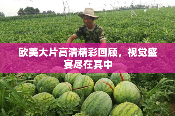 欧美大片高清精彩回顾，视觉盛宴尽在其中