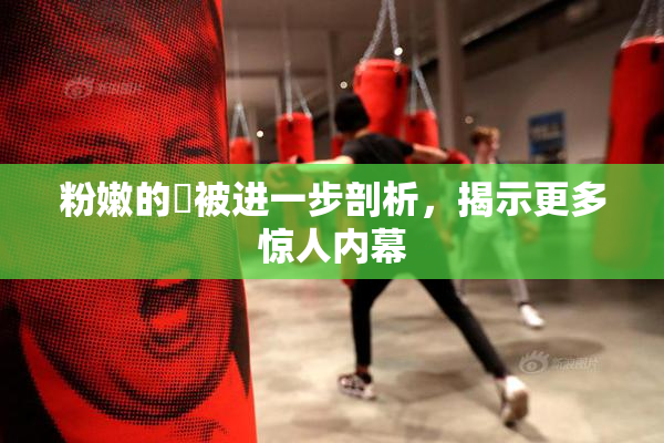粉嫩的泬被进一步剖析，揭示更多惊人内幕