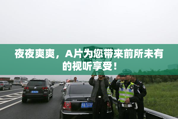 夜夜爽爽，A片为您带来前所未有的视听享受！