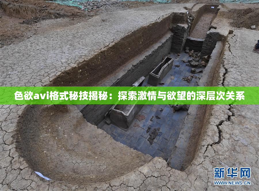色欲avi格式秘技揭秘：探索激情与欲望的深层次关系