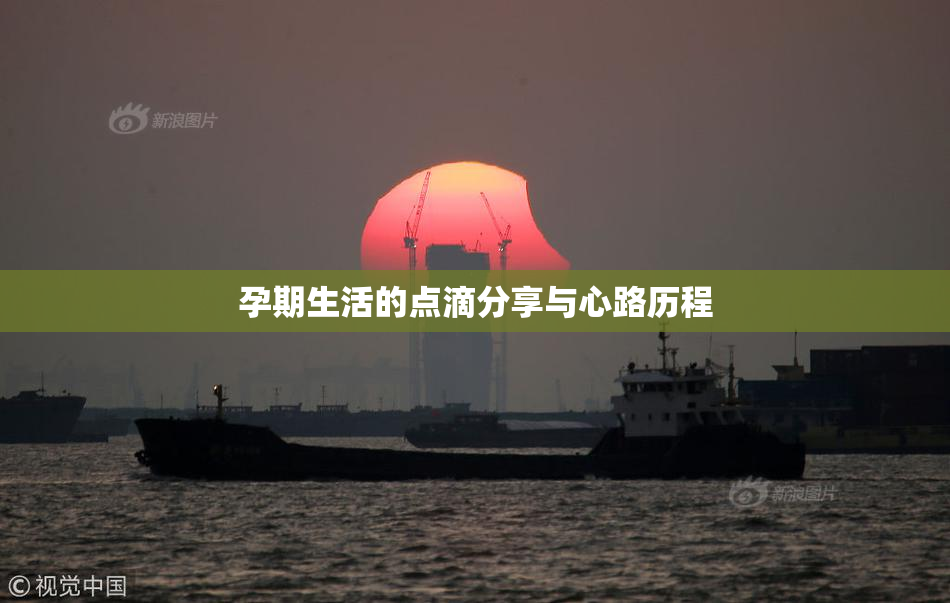 孕期生活的点滴分享与心路历程