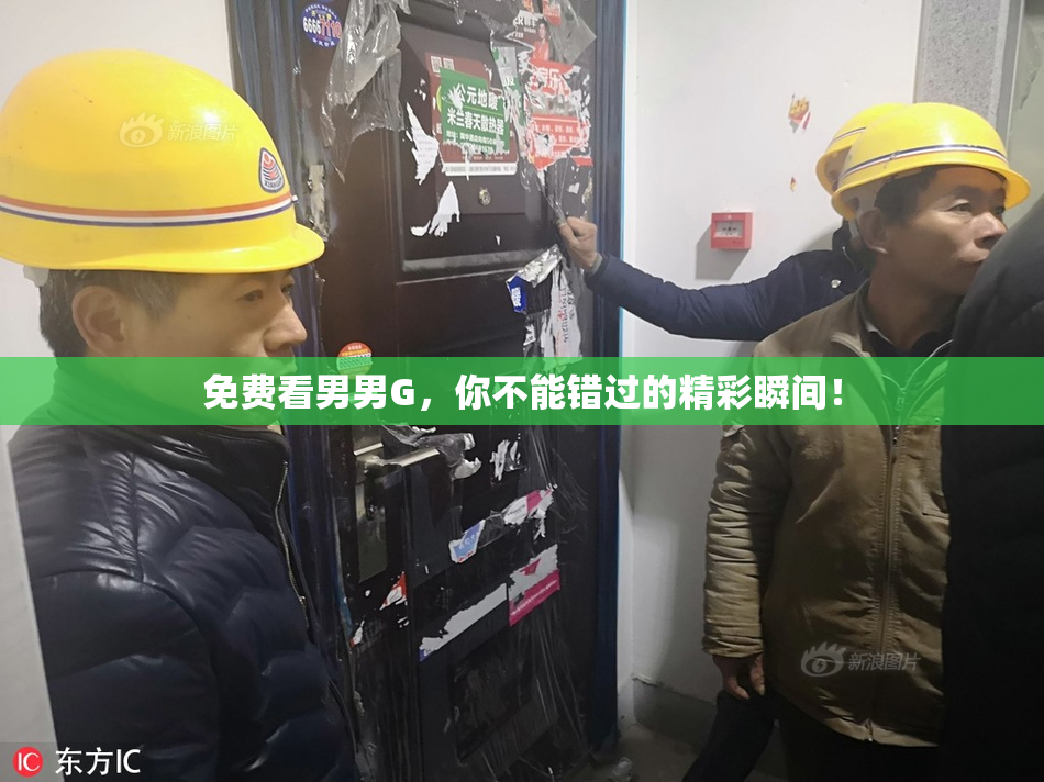 免费看男男G，你不能错过的精彩瞬间！