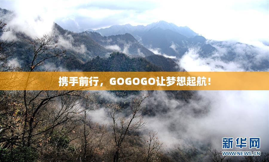 携手前行，GOGOGO让梦想起航！