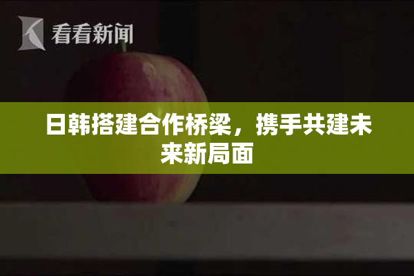 日韩搭建合作桥梁，携手共建未来新局面