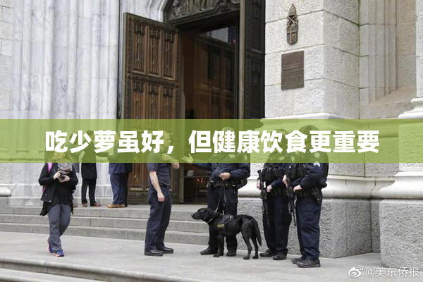 吃少萝虽好，但健康饮食更重要