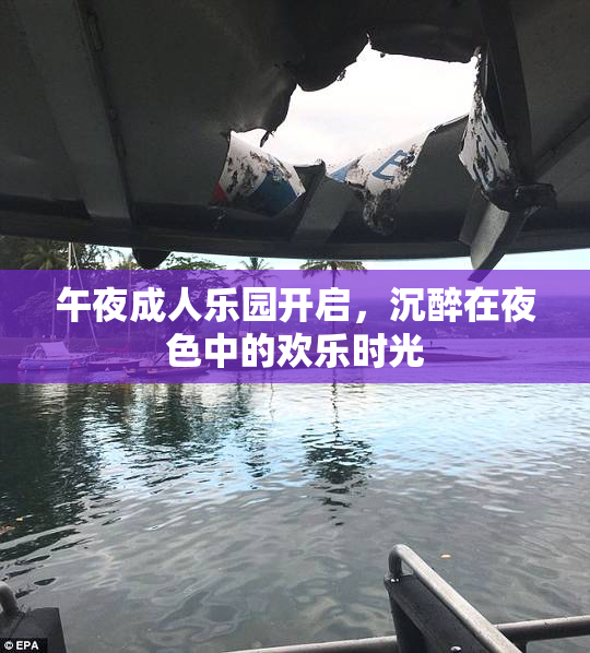 午夜成人乐园开启，沉醉在夜色中的欢乐时光