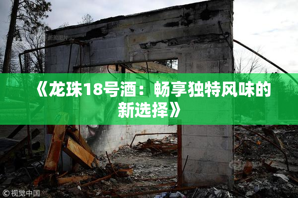 《龙珠18号酒：畅享独特风味的新选择》