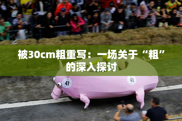 被30cm粗重写：一场关于“粗”的深入探讨